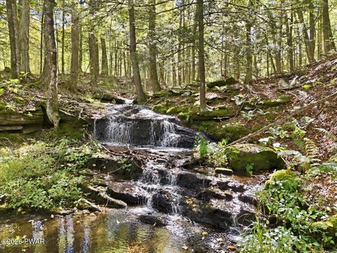 Land, Equinunk, PA