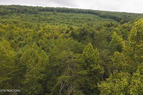Lots & Acreage, Rogersville, TN