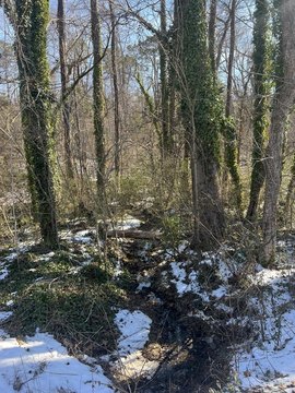 South Boston Wooded Residential Lot