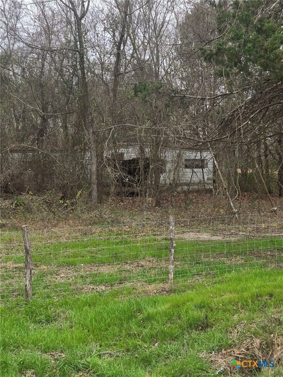 Picture 3