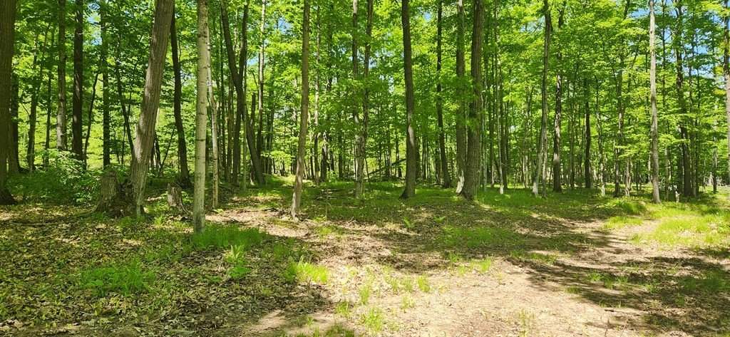Picture 9