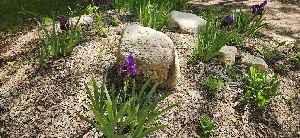 Picture 12