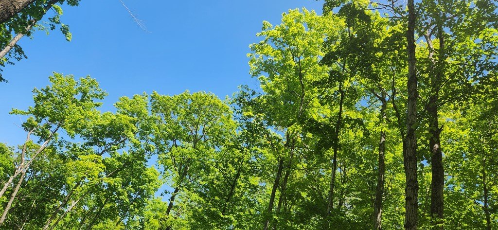 Picture 8