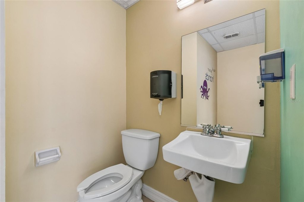 Picture 19