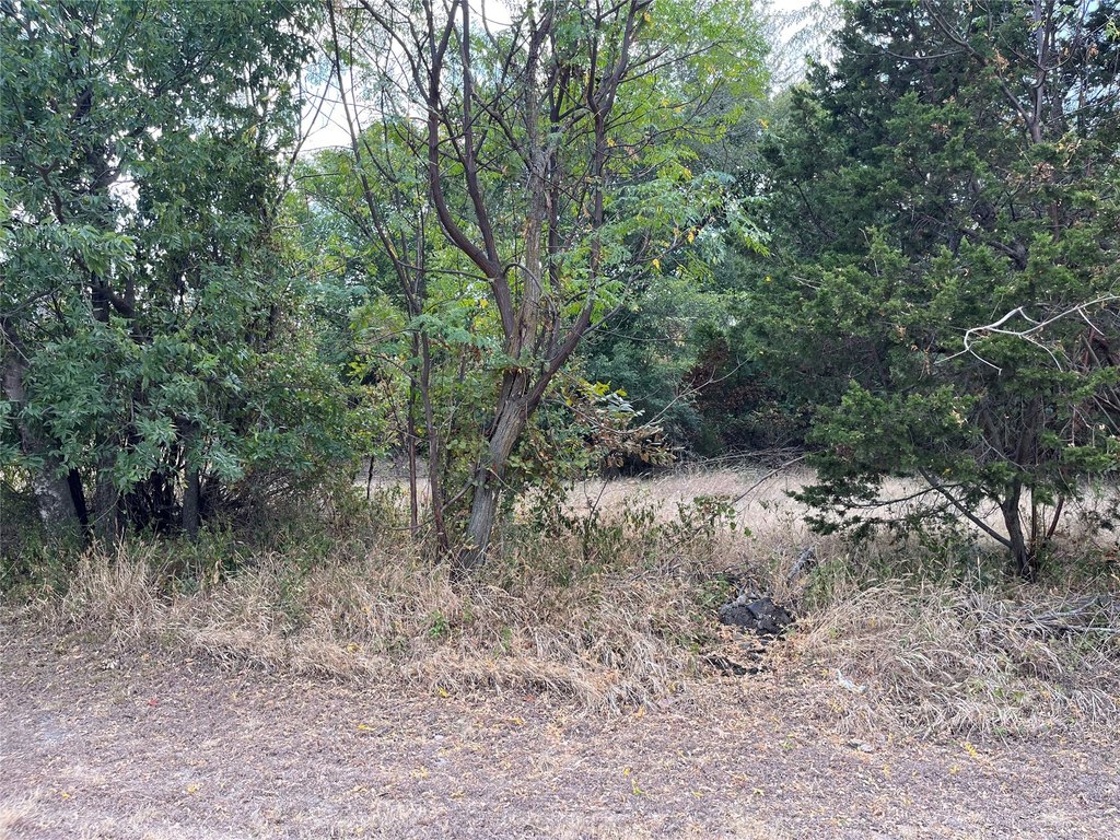 Picture 5