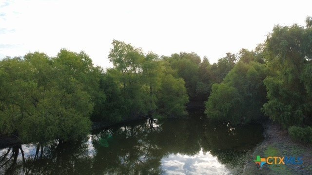 Picture 11