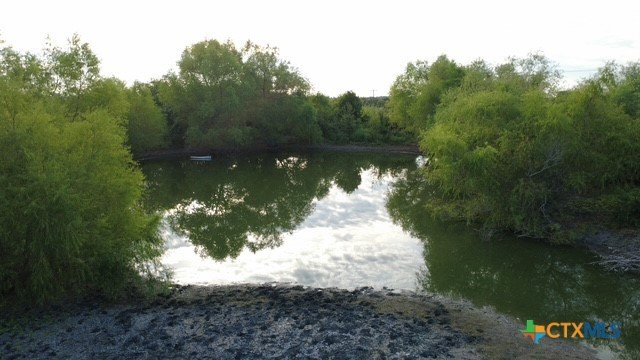 Picture 10