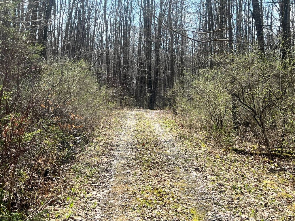 Picture 11