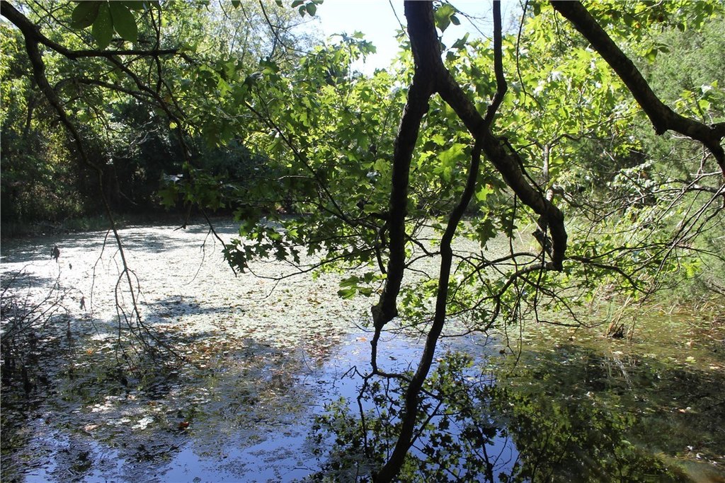 Picture 21