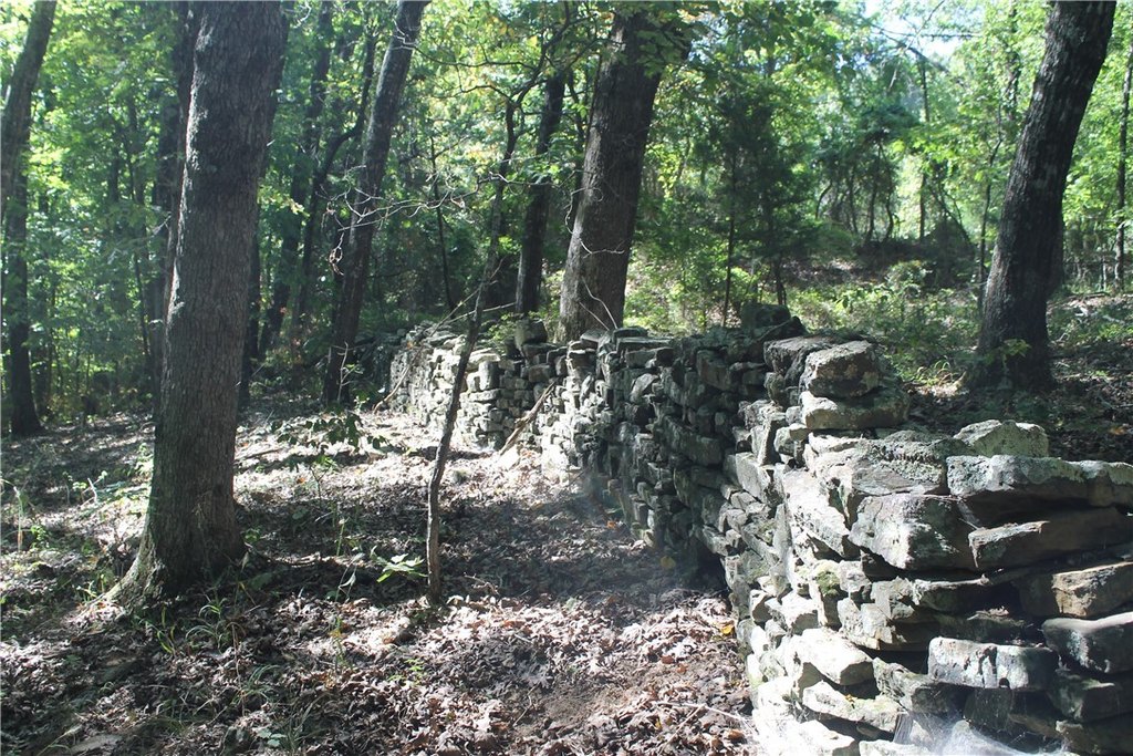 Picture 22