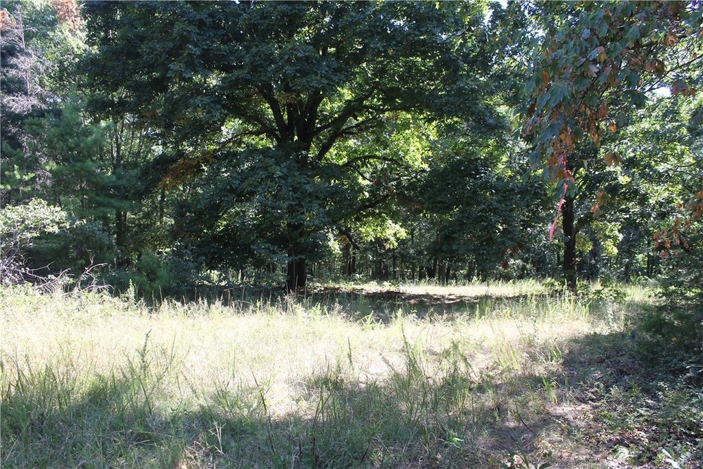 Picture 18