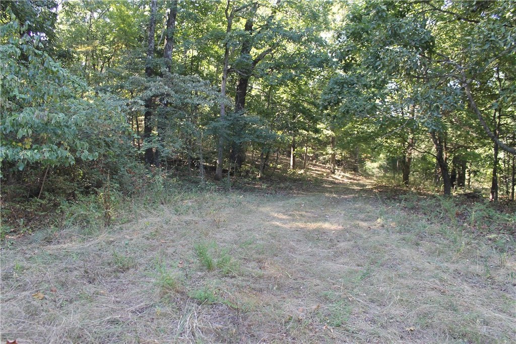 Picture 17