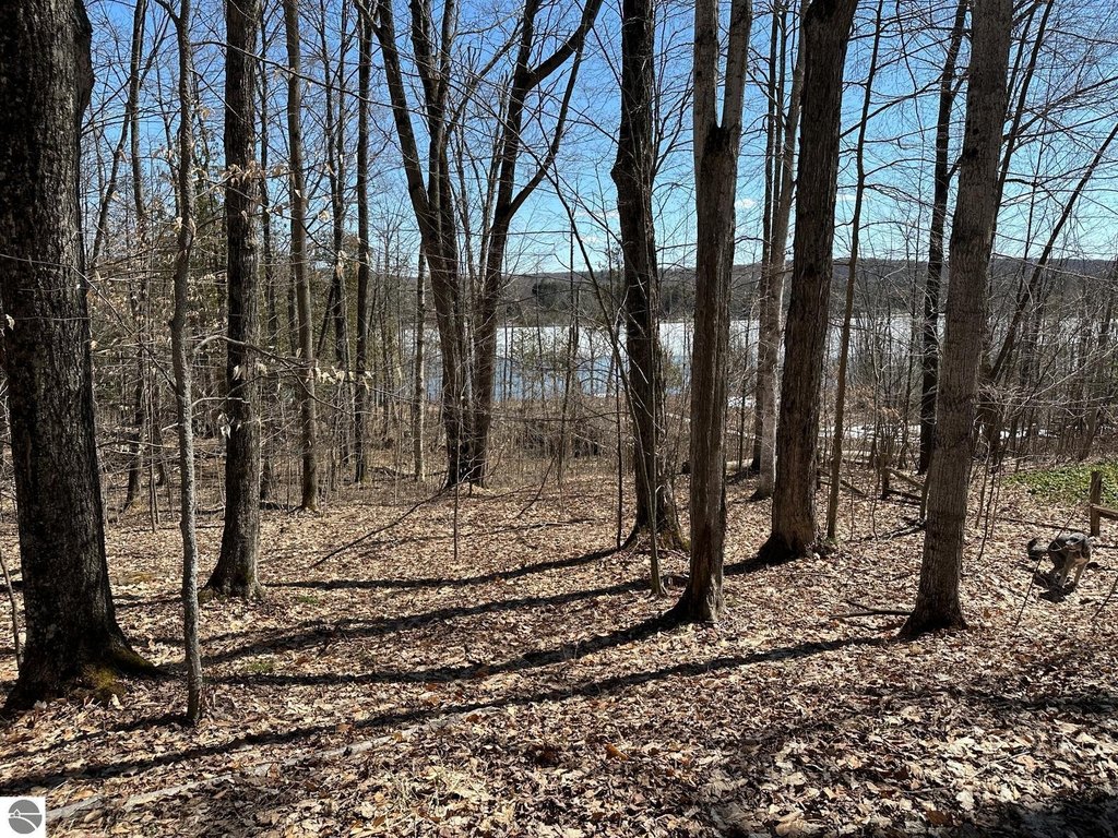 Picture 16