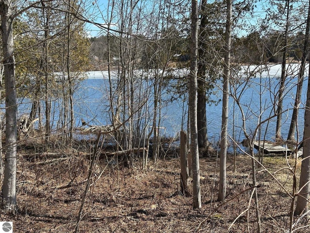 Picture 24