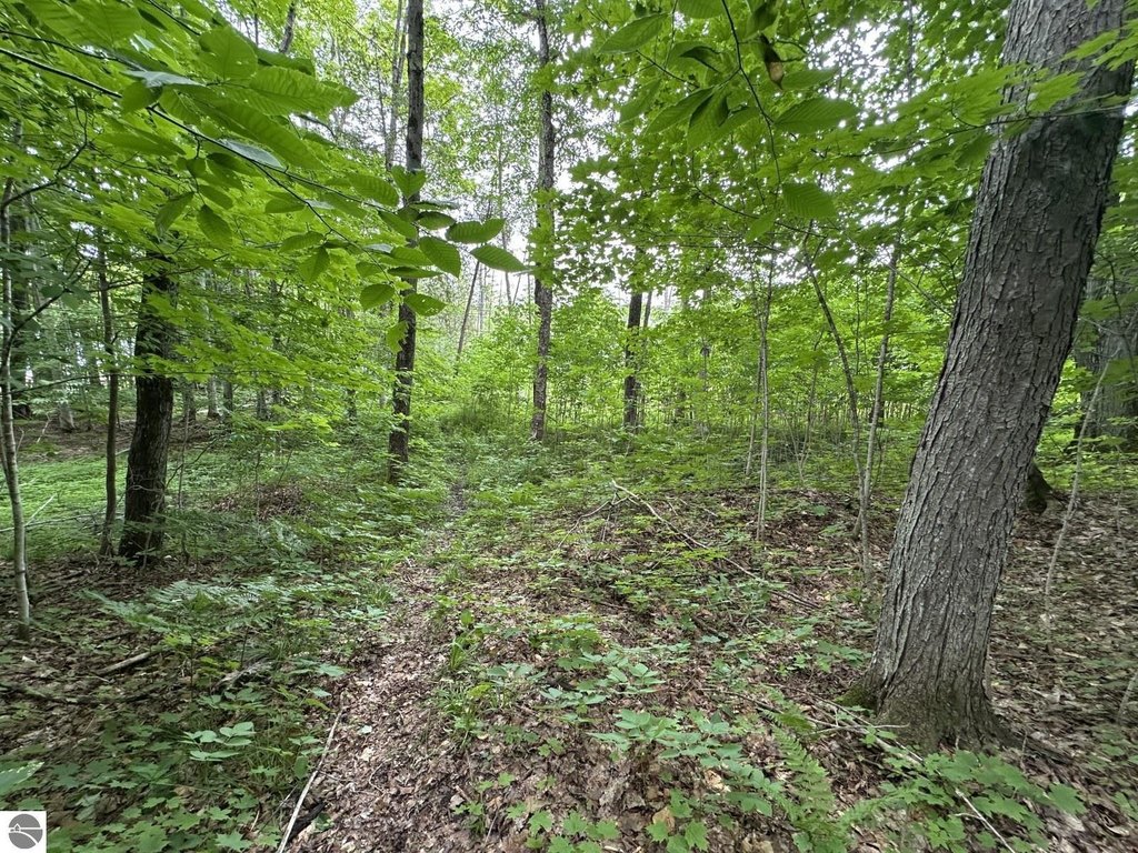 Picture 22