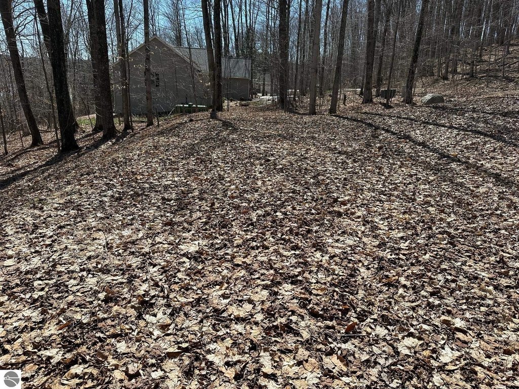 Picture 25