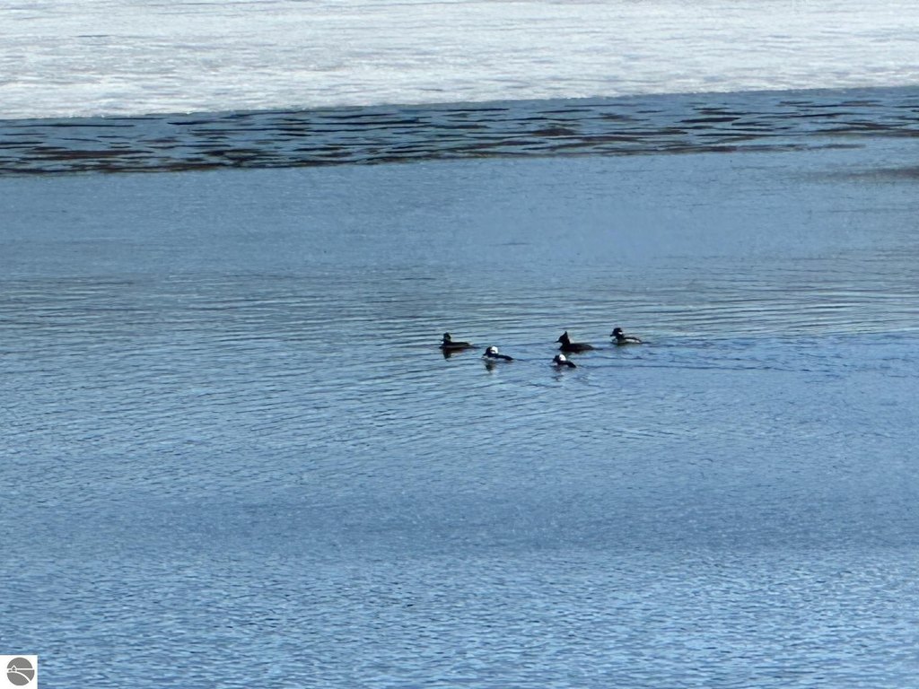 Picture 27