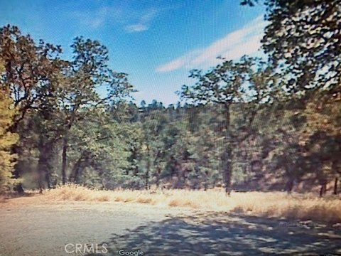 Wooded Land in Corning, CA