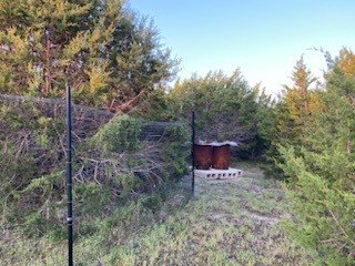 Picture 15