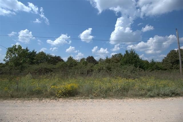 Picture 7