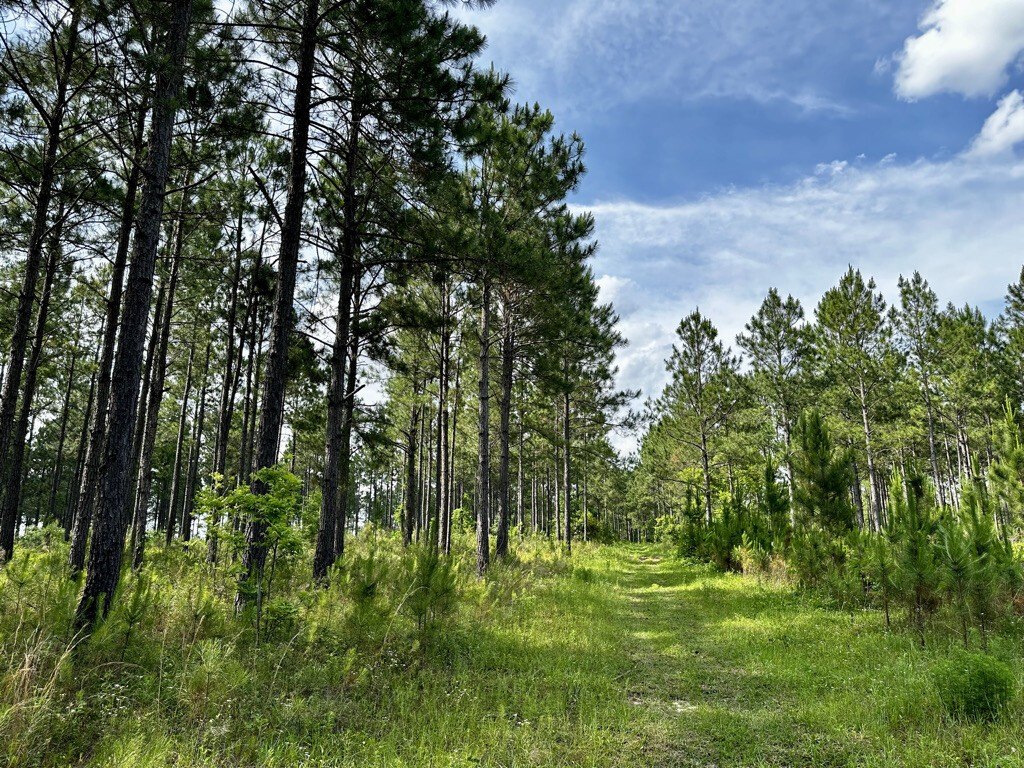 Telfair County Vacant Land Opportunity