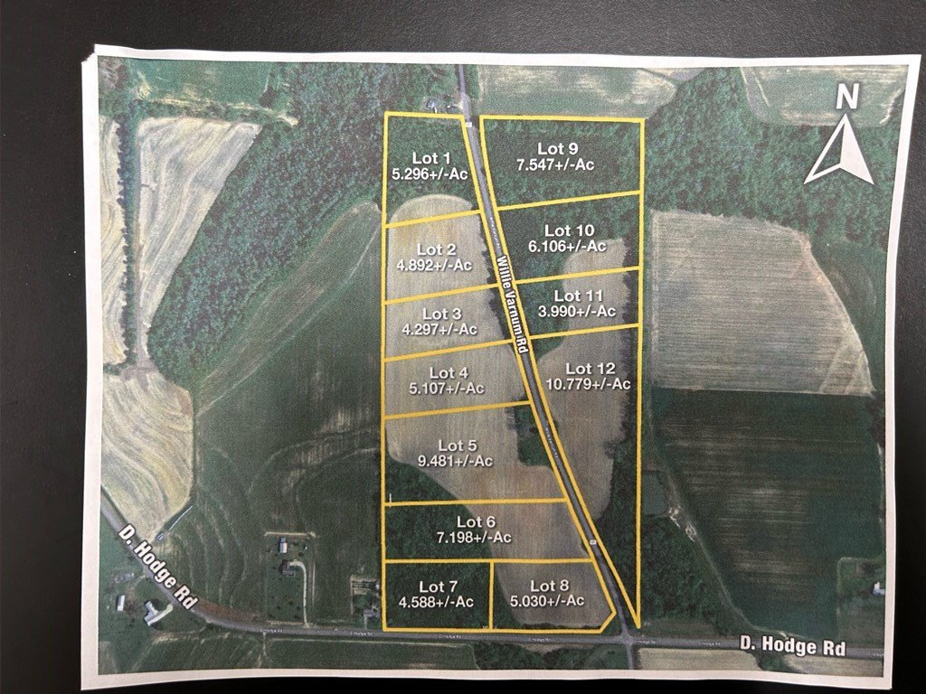 Picture 2