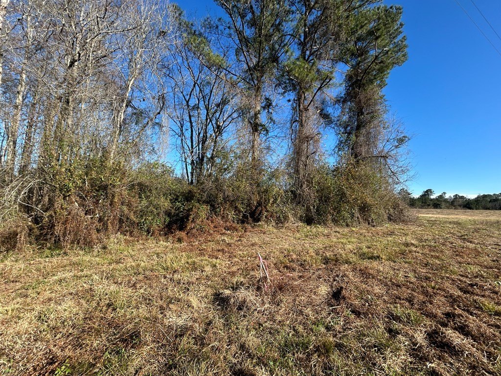 Picture 10