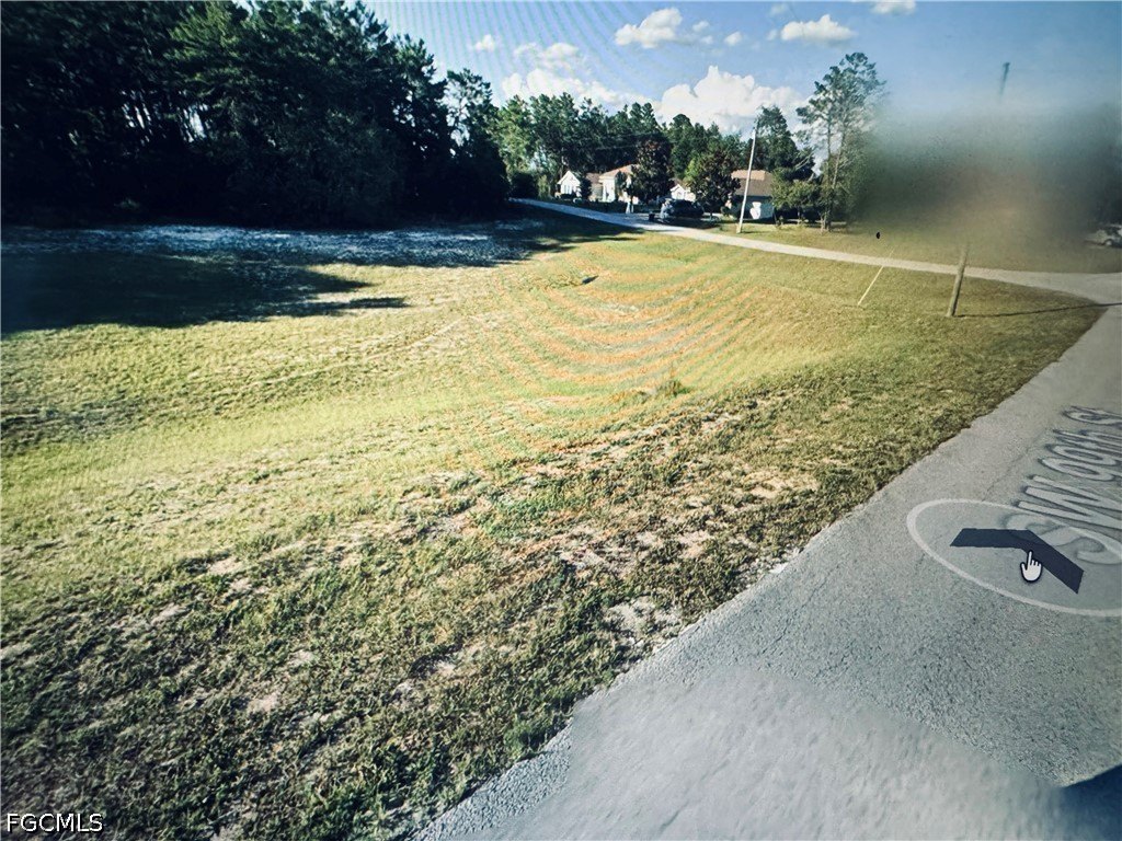Picture 8