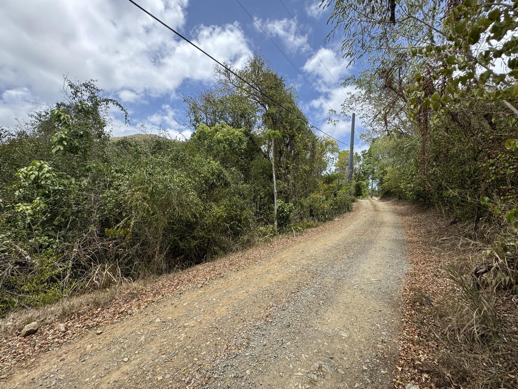 Picture 14