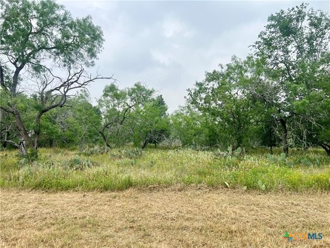 Residential Land in Smiley, TX
