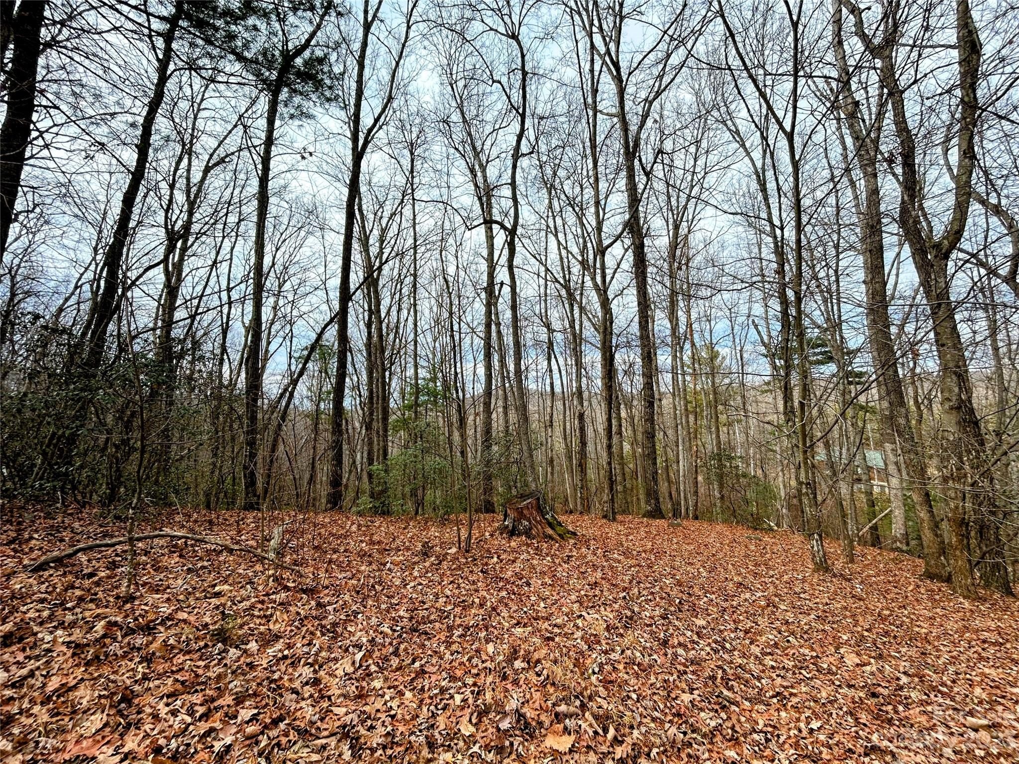 Residential Land in Tranquil Setting