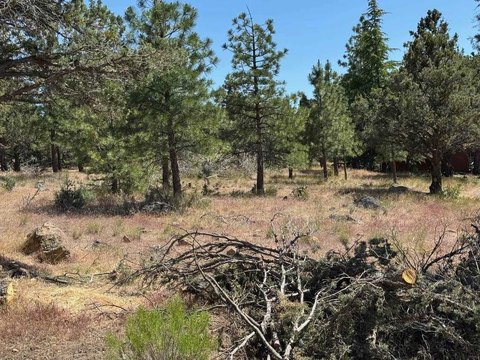 Residential Land in Weed, CA