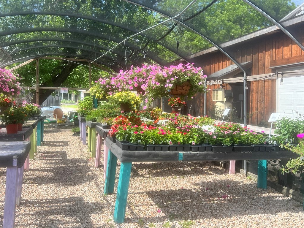 Picture 26