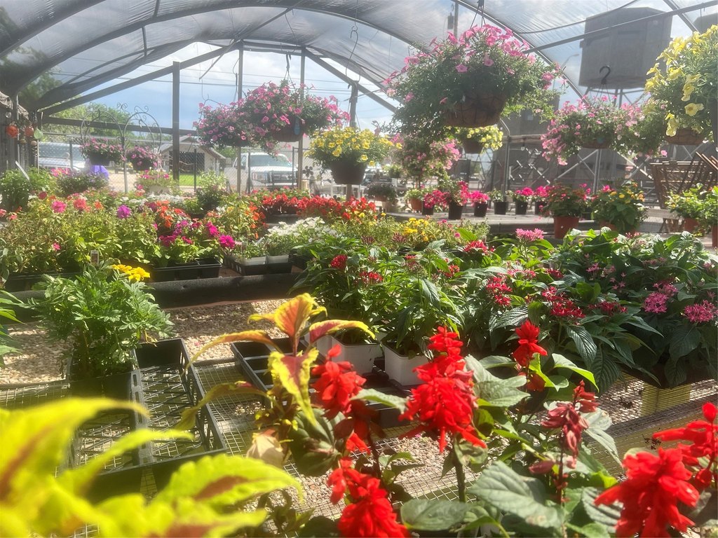 Picture 25