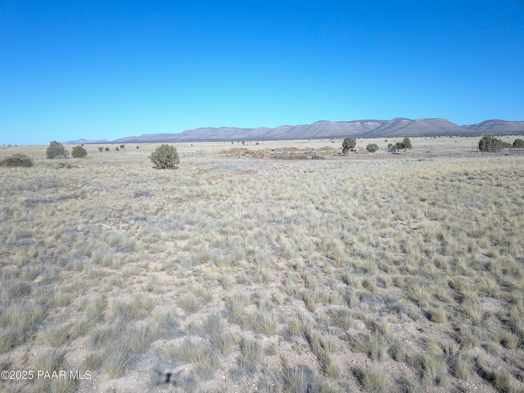 Picture 31