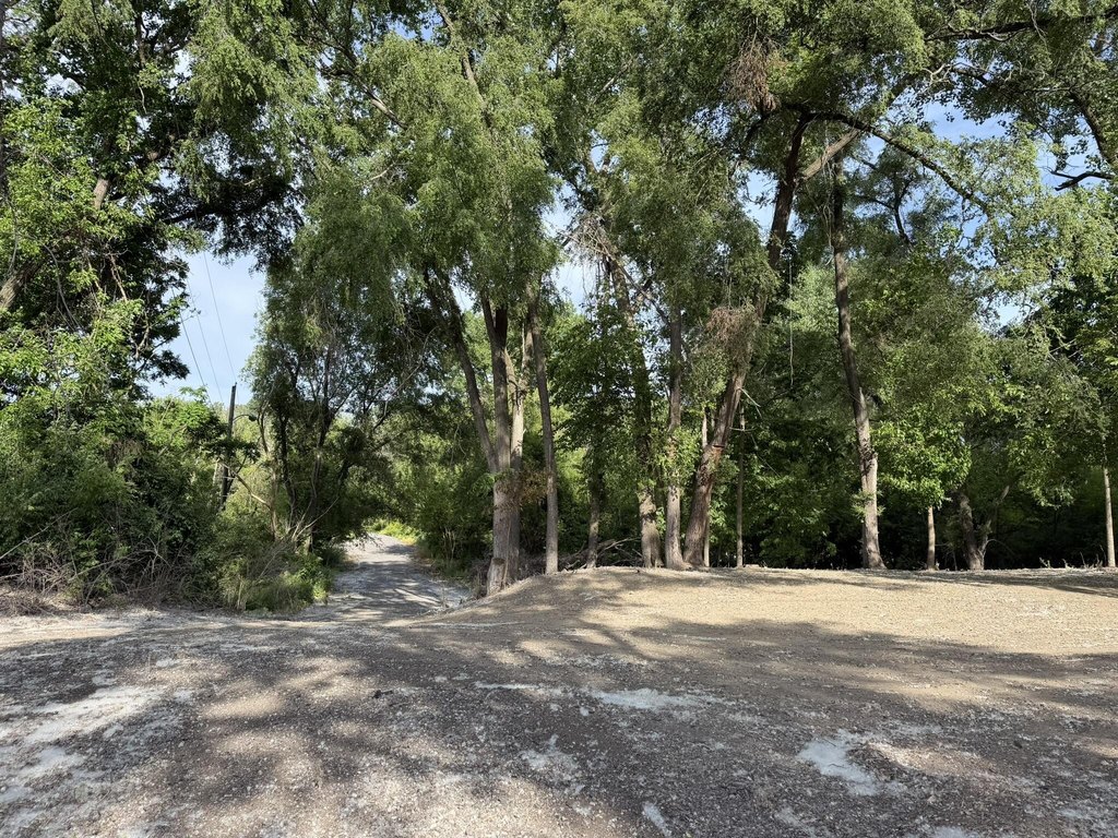 Picture 20
