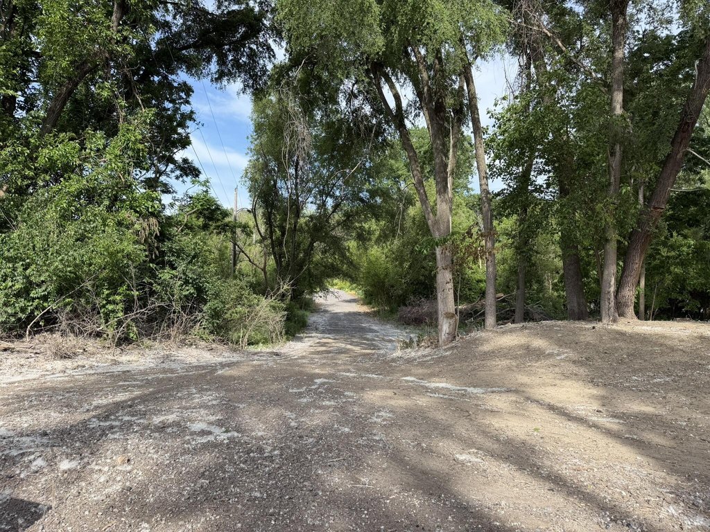 Picture 19