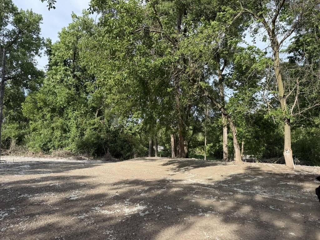 Picture 18