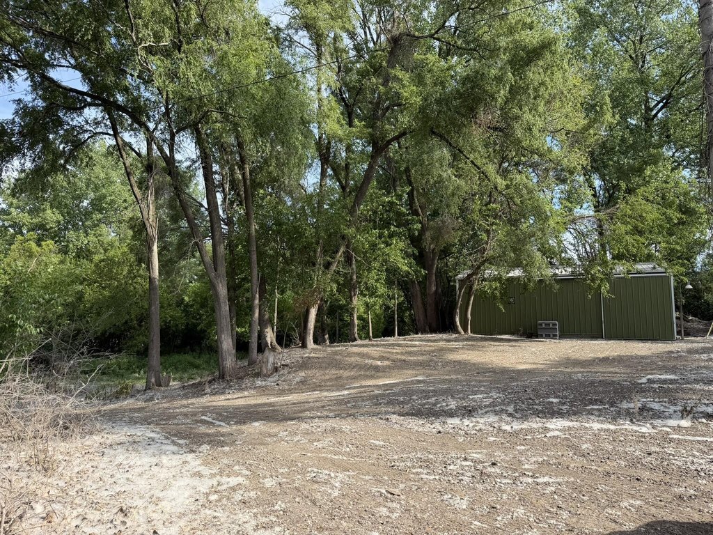 Picture 17