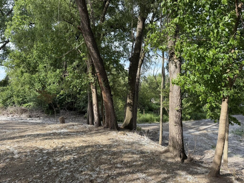 Picture 21