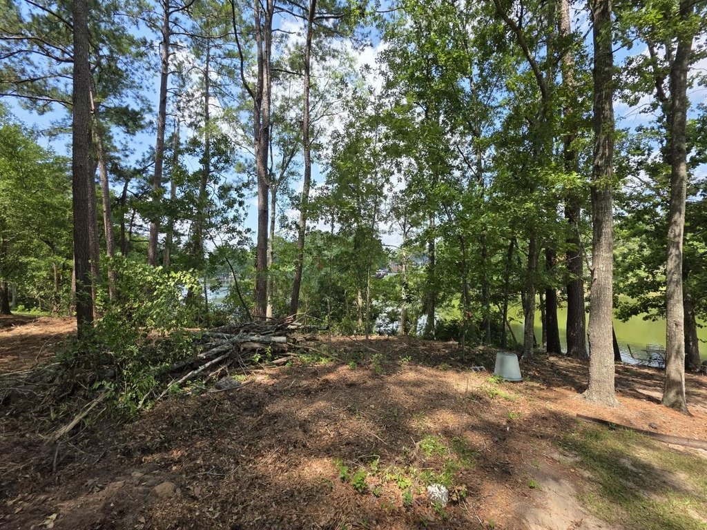 Picture 15