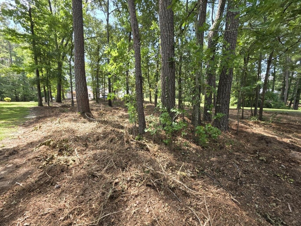 Picture 12