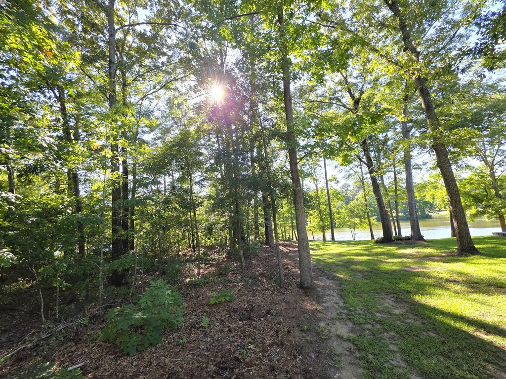 Picture 9