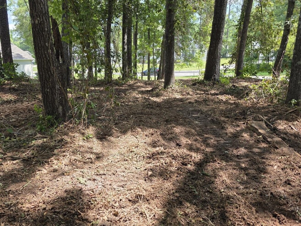Picture 8