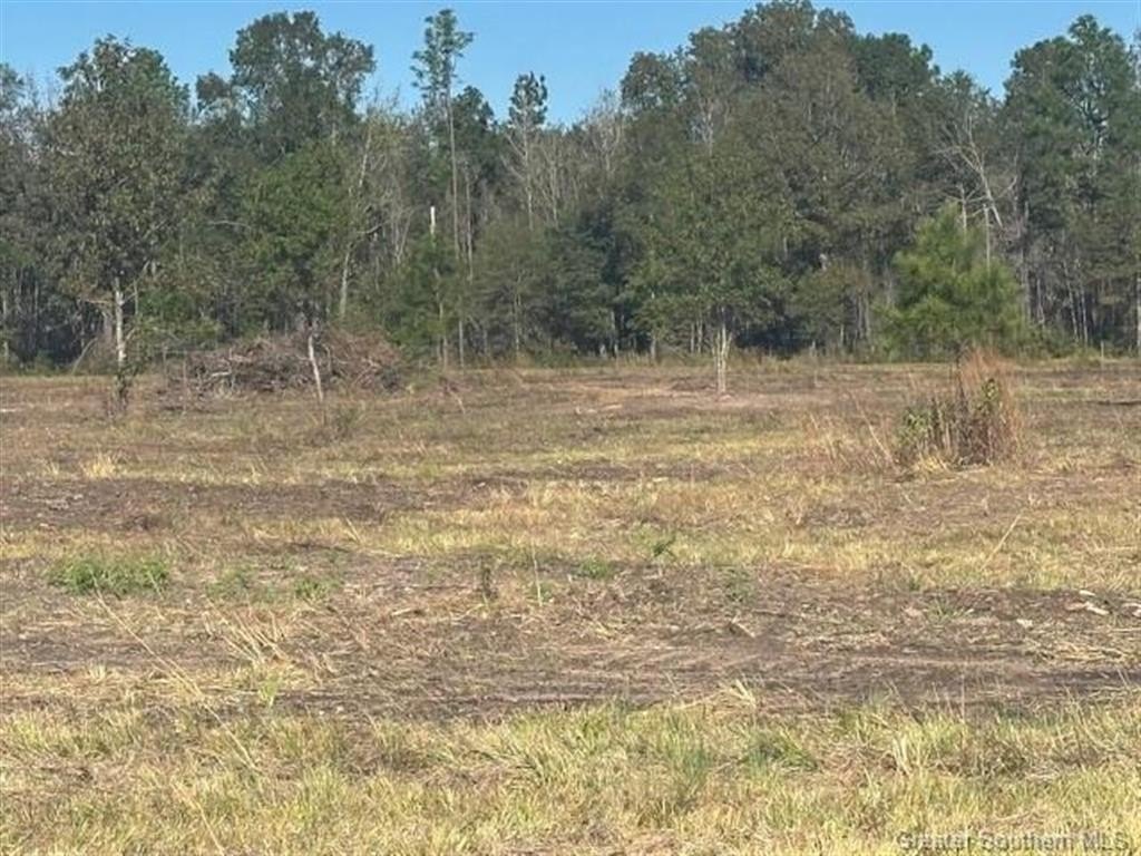Picture 12