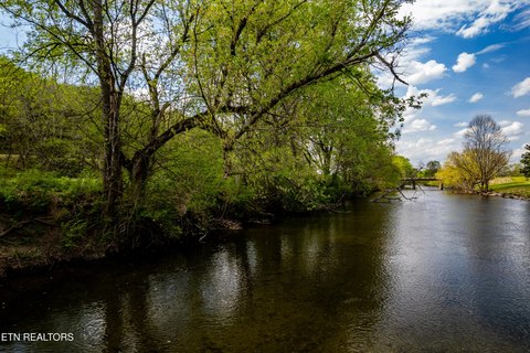 Tellico Plains Land For Sale