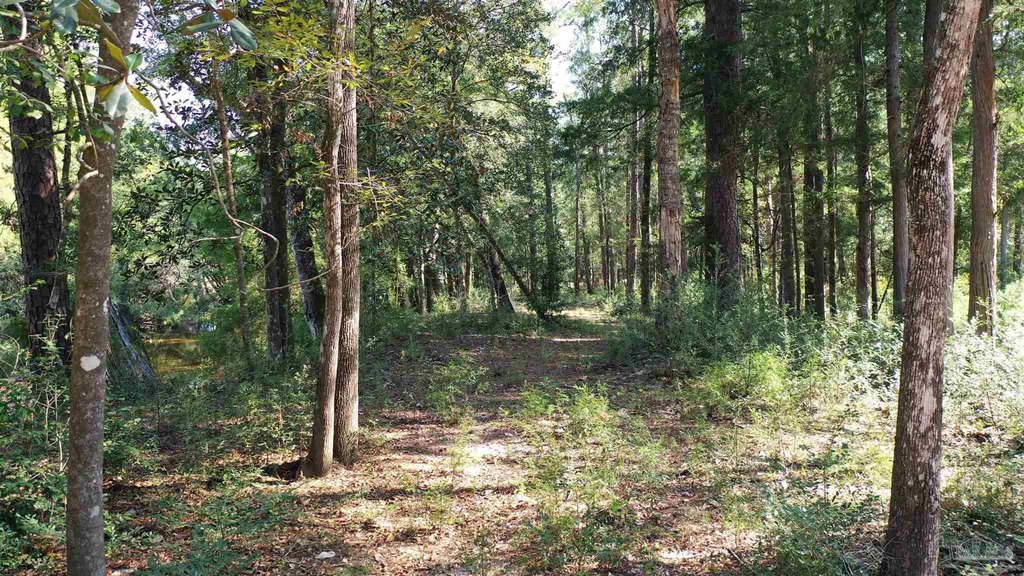 Picture 22