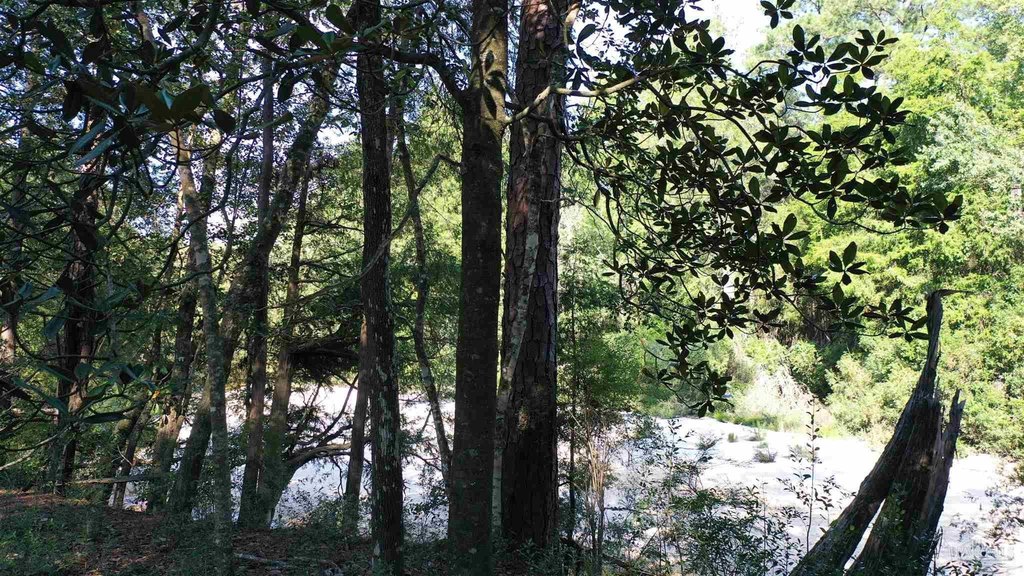 Picture 27