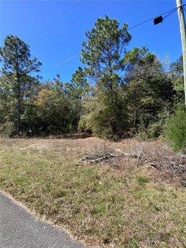 Vacant Residential Lot Near Crystal River
