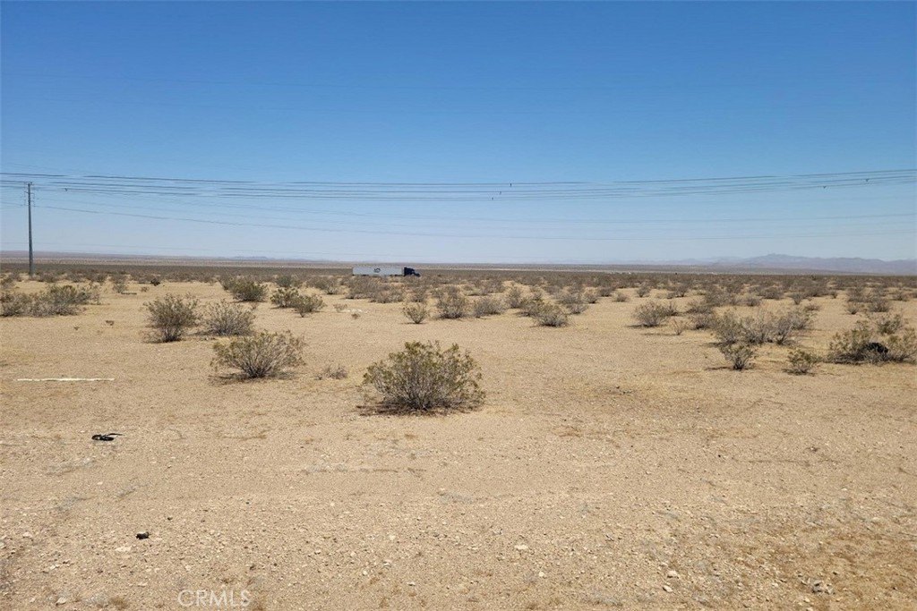 Picture 11